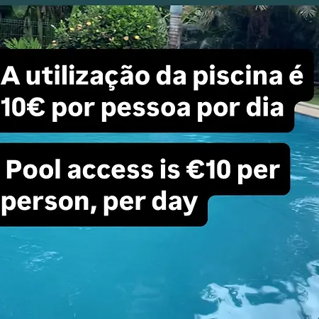 T1 Mar De Amarilis @ Da Rocha * 포티마오